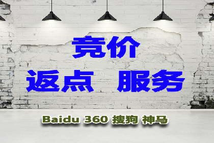 揭秘SEM竞价托管：实战案例深度解析